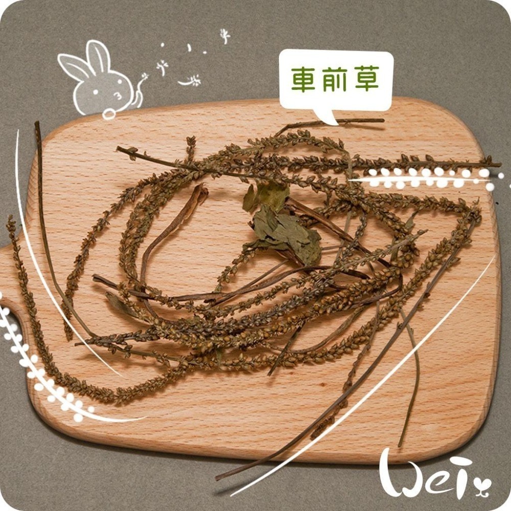 魏啥麻-乾燥車前草 (純天然無添加 請少量給予)寵物手工零食-細節圖2