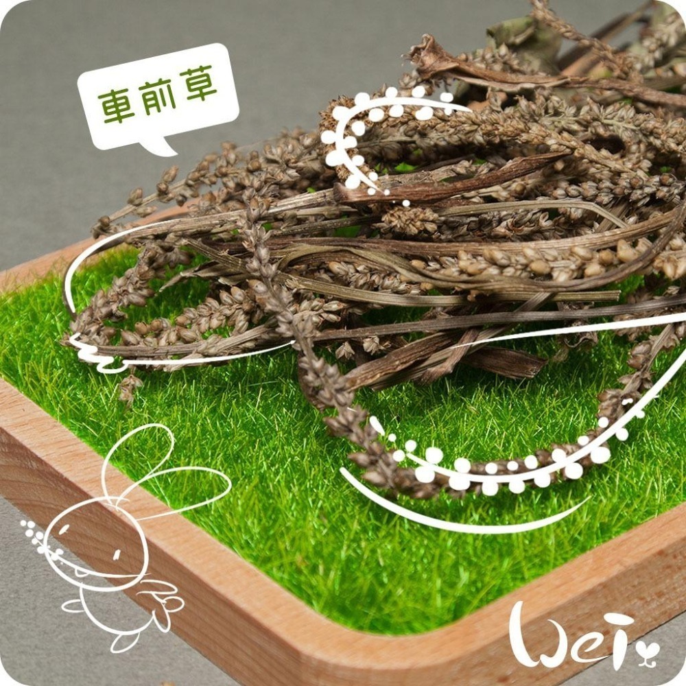 魏啥麻-乾燥車前草 (純天然無添加 請少量給予)寵物手工零食-細節圖3