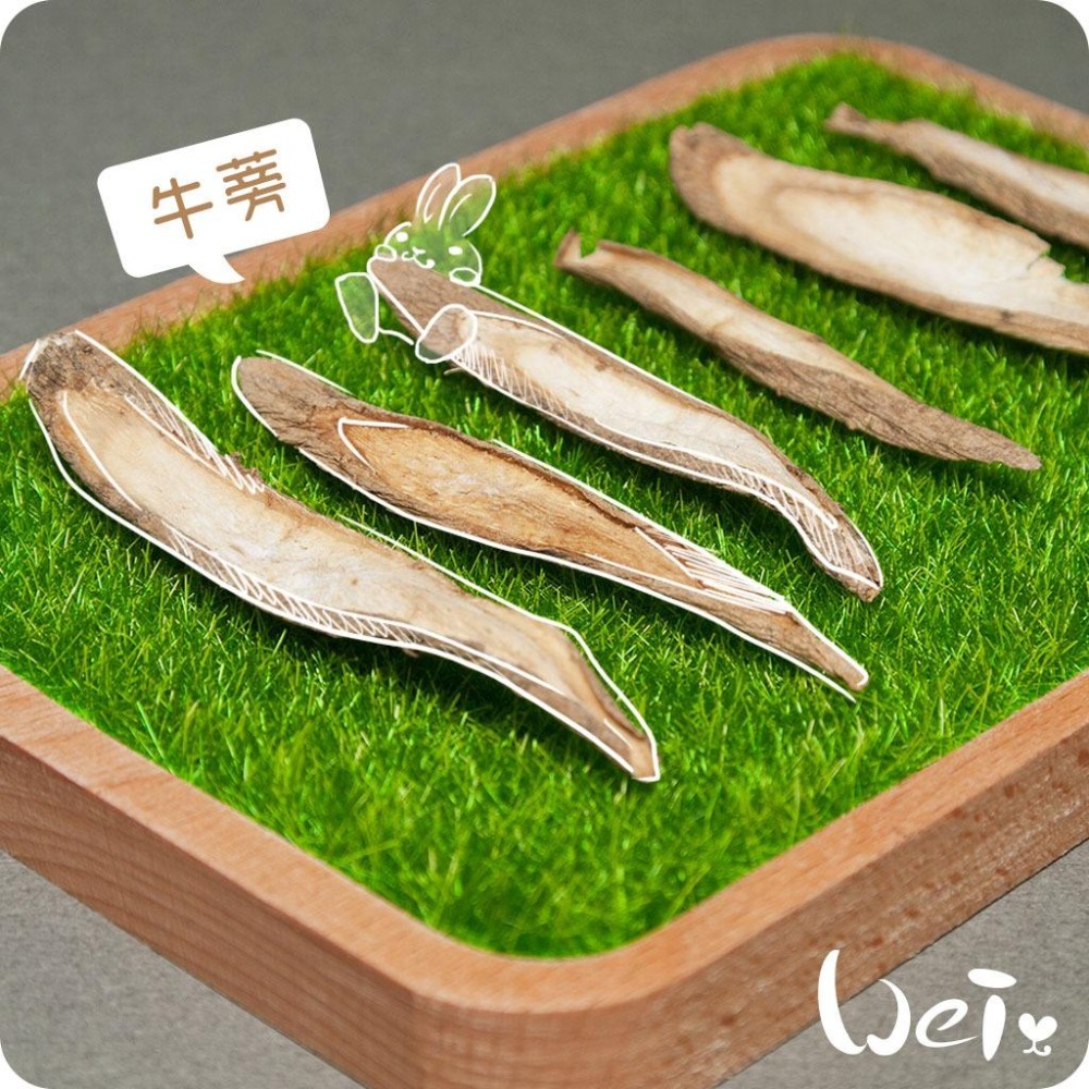 魏啥麻-牛蒡乾(純天然無添加 請少量給予)寵物手工零食-細節圖2