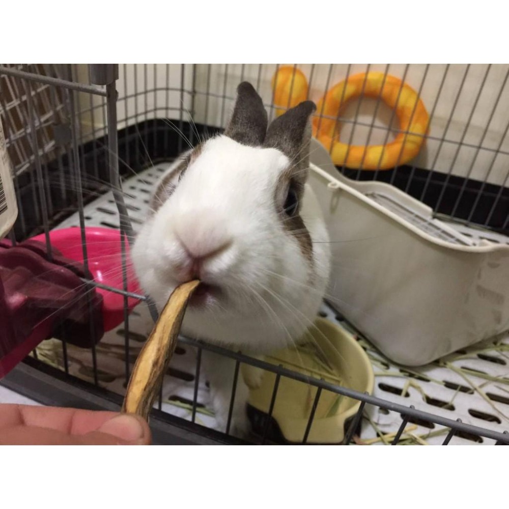 魏啥麻-牛蒡乾(純天然無添加 請少量給予)寵物手工零食-細節圖5