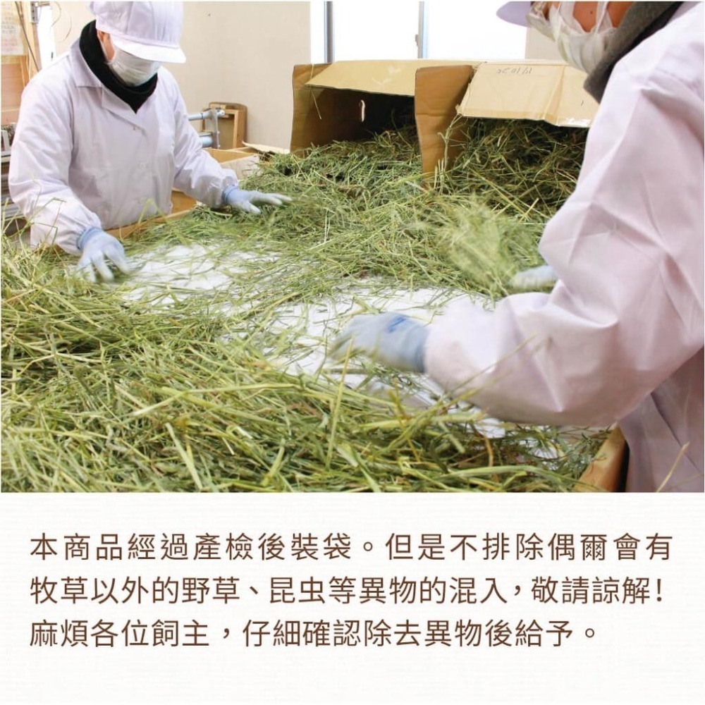 魏啥麻-日本WOOLY USA 華盛頓早摘提摩西一割 600g (梗多)2025年度草 (兔 天竺鼠 龍貓牧草)-細節圖2
