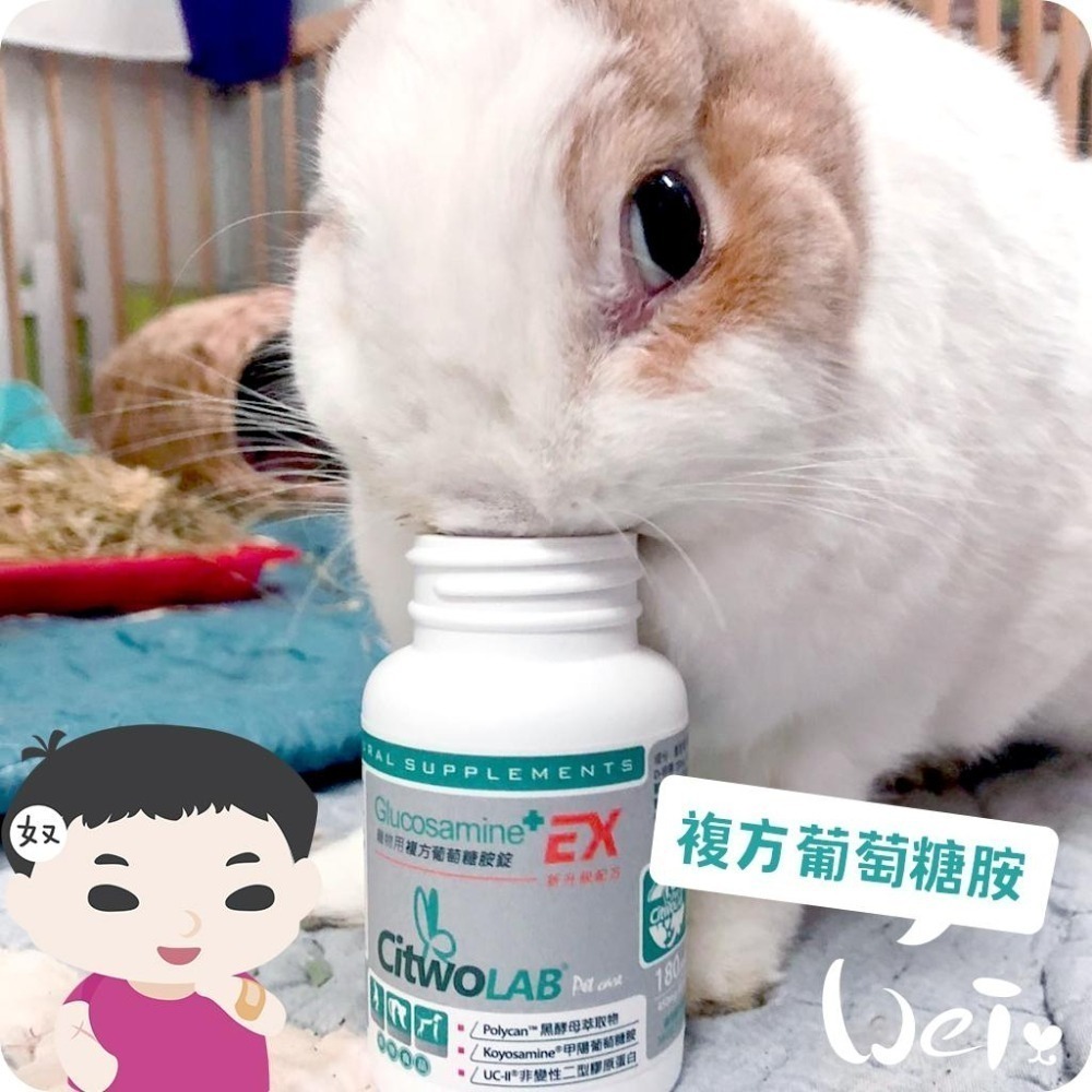 魏啥麻-CI兔 Citwo LAB 複方葡萄糖胺EX 60/180錠(關節骨頭保健 兔寶胺)兔 天竺鼠保健品-細節圖2
