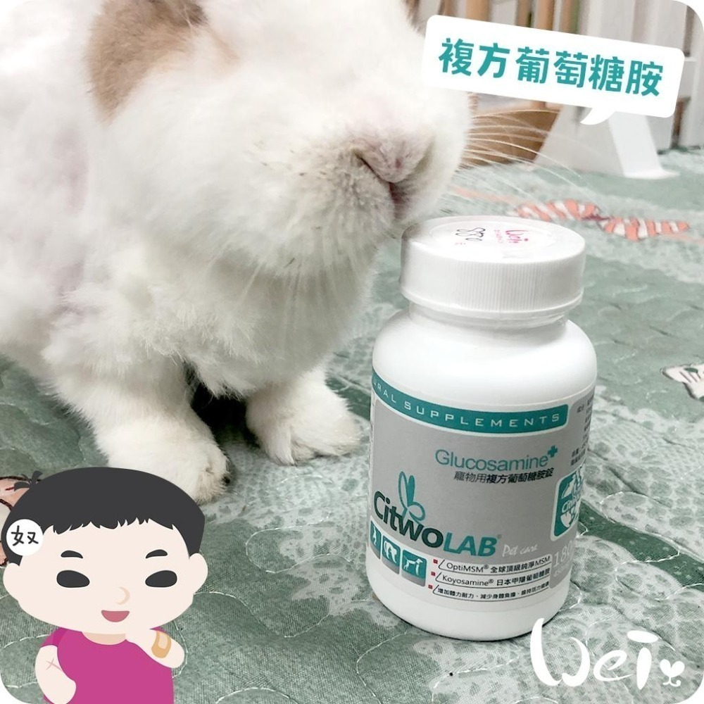魏啥麻-CI兔 Citwo LAB 複方葡萄糖胺EX 60/180錠(關節骨頭保健 兔寶胺)兔 天竺鼠保健品-細節圖3