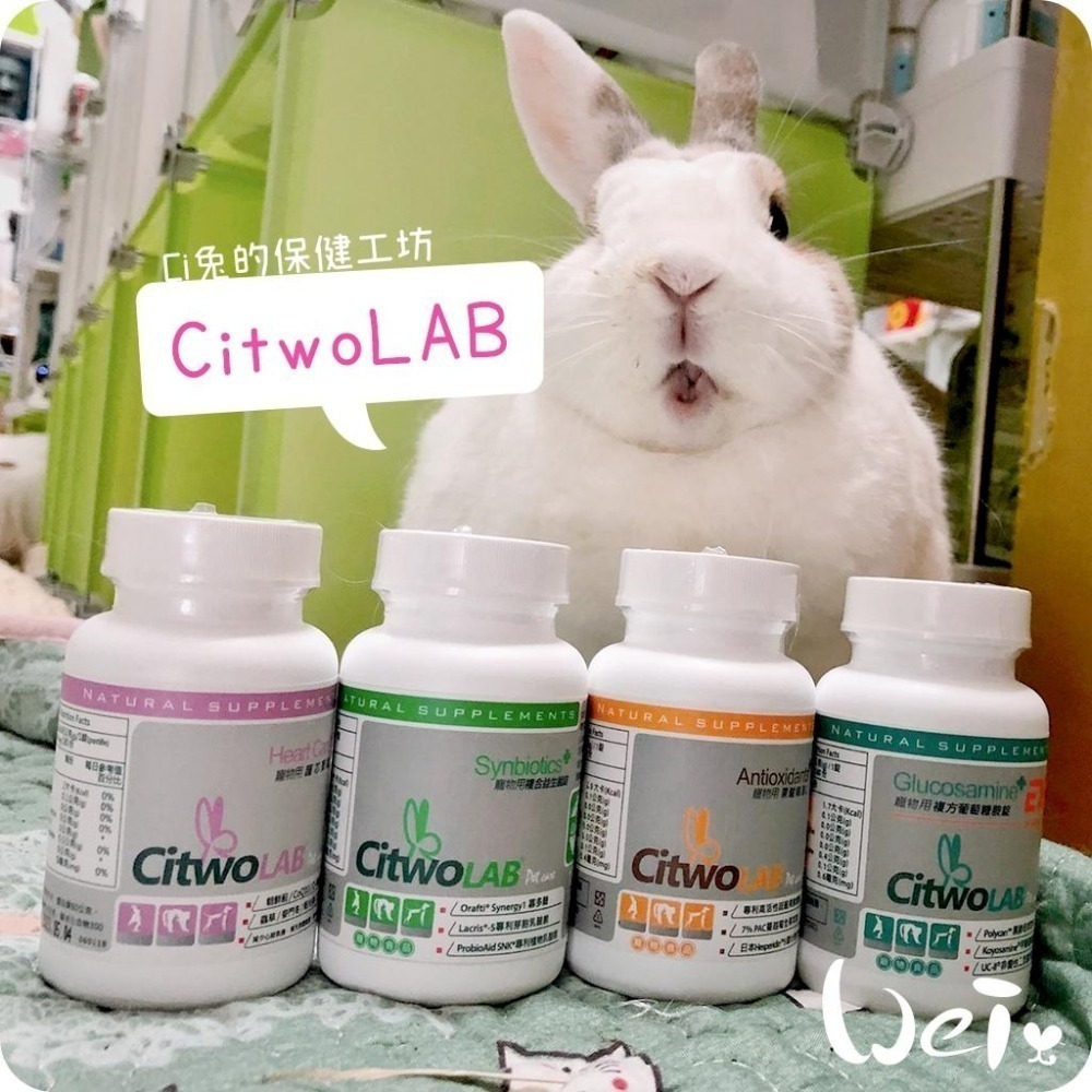 魏啥麻-CI兔 Citwo LAB 複方葡萄糖胺EX 60/180錠(關節骨頭保健 兔寶胺)兔 天竺鼠保健品-細節圖6