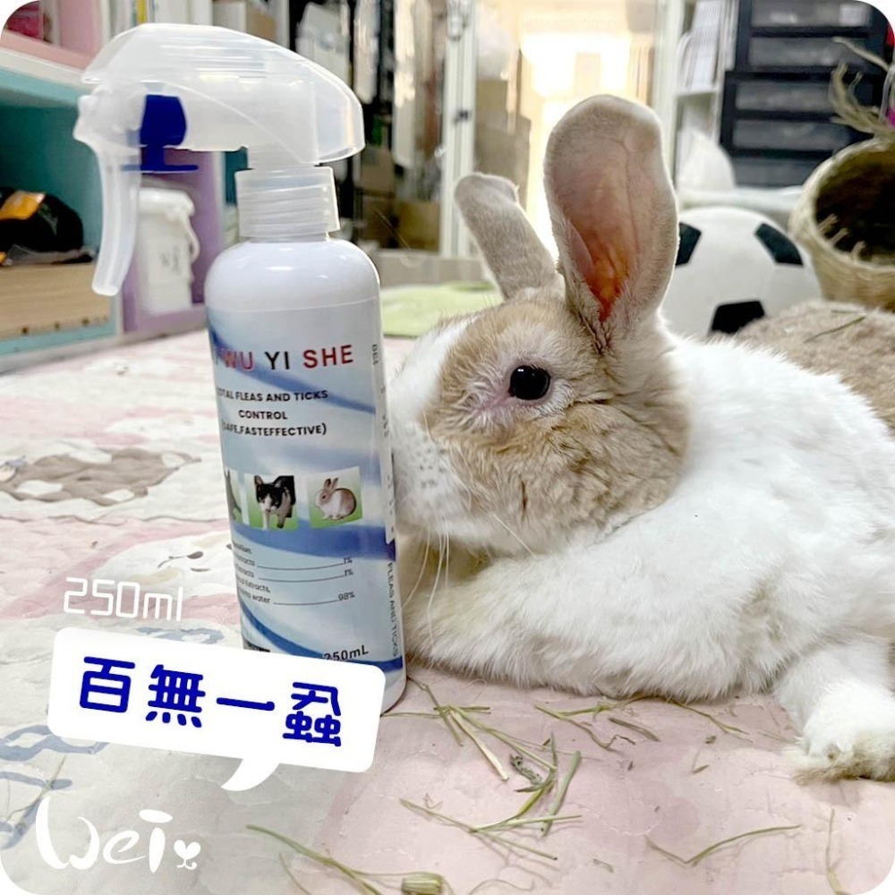 魏啥麻-(新包裝)正版百無一蝨 (非治療用，已有寄生蟲請尋求醫生協助) (流浪兔協會代購-細節圖2