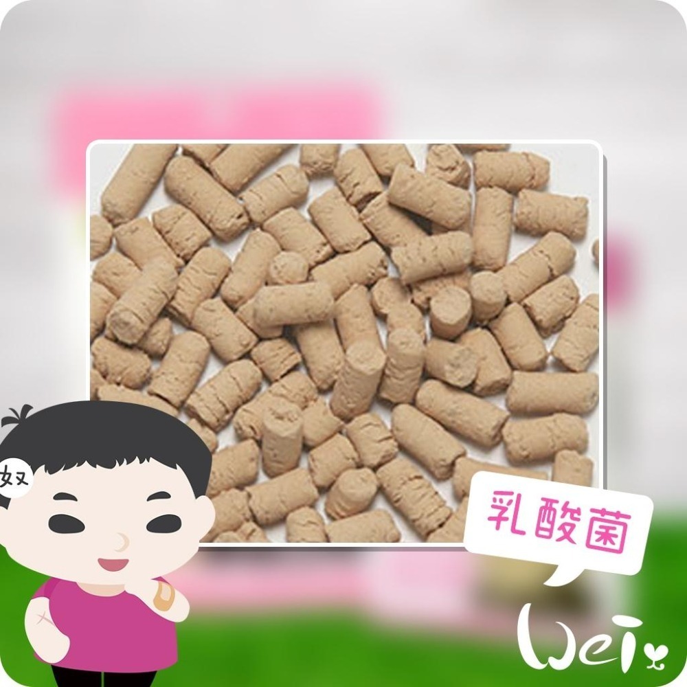 魏啥麻- (特價)Sanko小動物乳酸菌 20g/100g (腸胃保健)兔 天竺鼠保健品-細節圖2