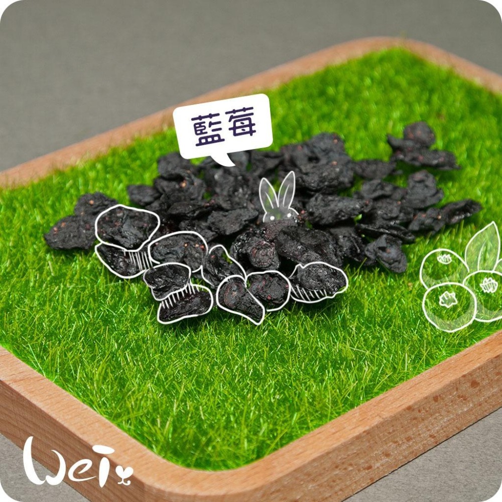 魏啥麻-藍莓乾(純天然無添加 請少量給予)寵物手工零食-細節圖2