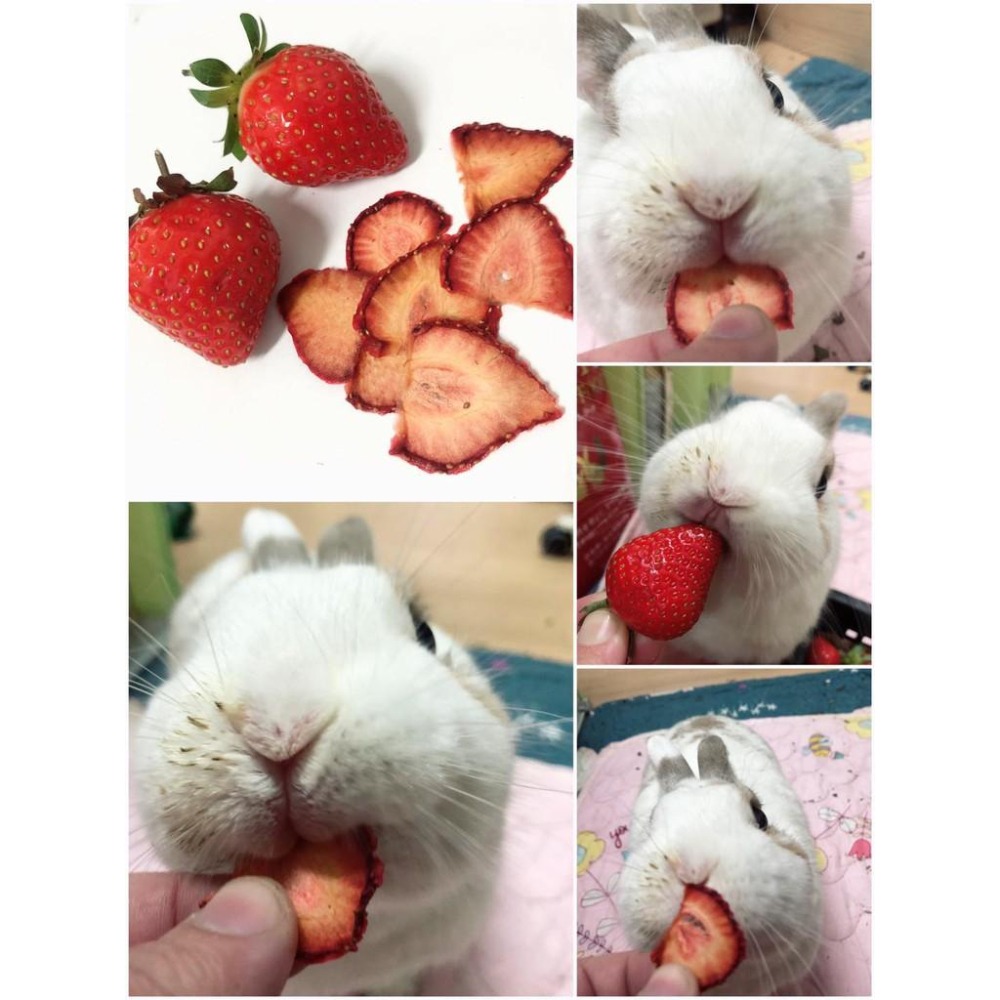 魏啥麻-草莓乾(純天然無添加 請少量給予)寵物手工零食-細節圖3