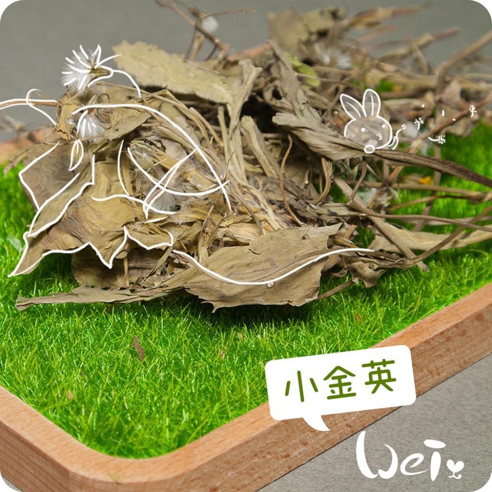 魏啥麻-乾燥小金英 (小本蒲公英 鵝仔菜 兔兒菜)(純天然無添加 請少量給予)寵物手工零食-細節圖2