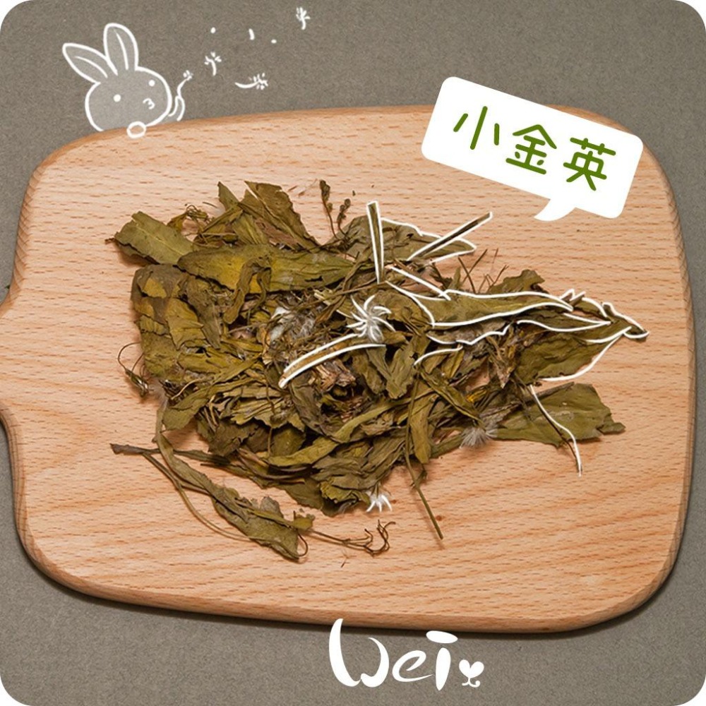 魏啥麻-乾燥小金英 (小本蒲公英 鵝仔菜 兔兒菜)(純天然無添加 請少量給予)寵物手工零食-細節圖3