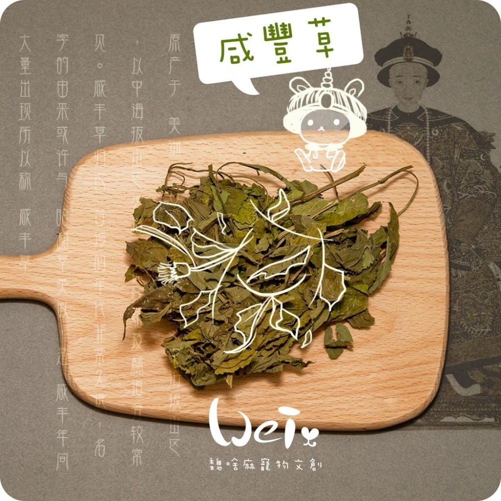 魏啥麻-乾燥咸豐草(純天然無添加 請少量給予)寵物手工零食-細節圖2