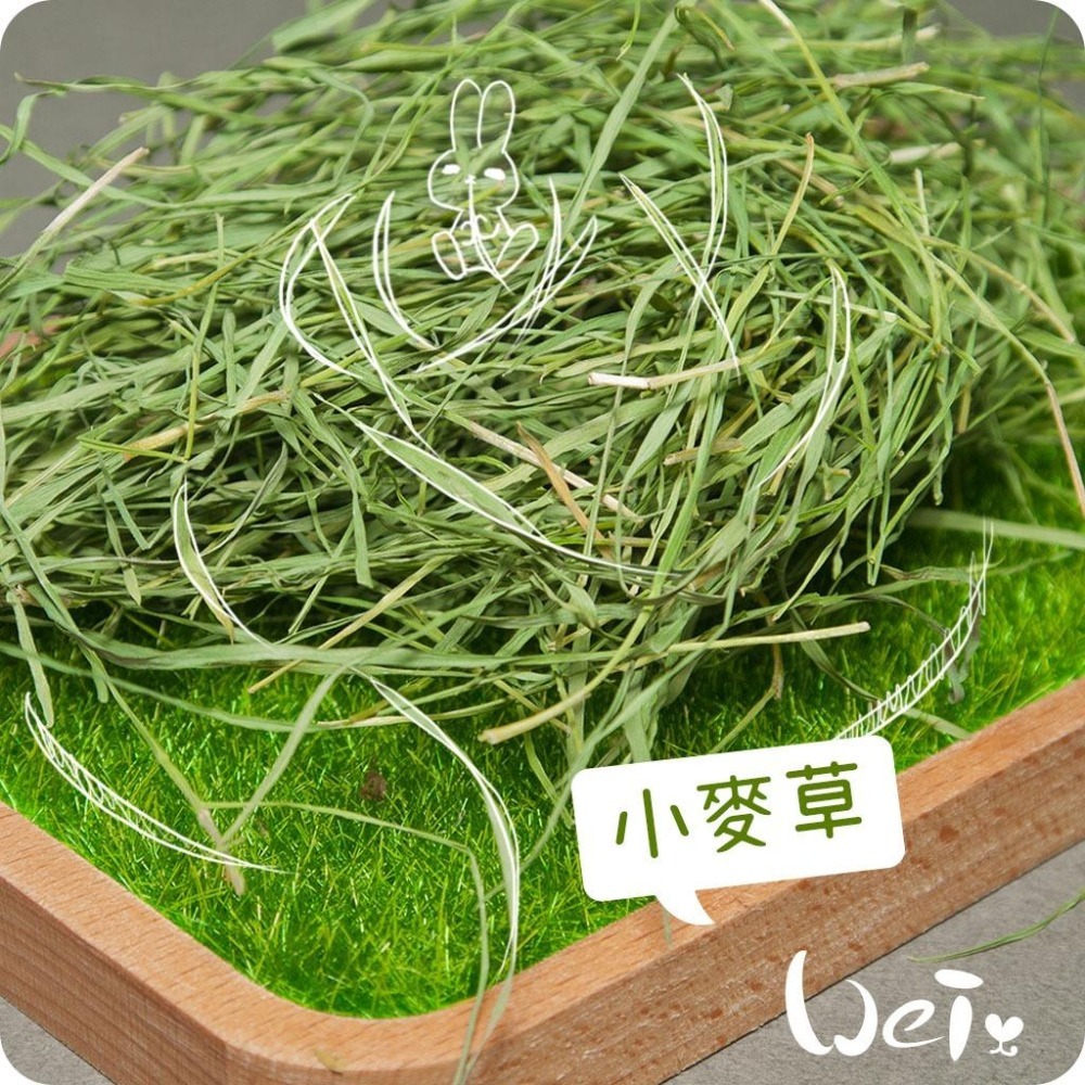 魏啥麻-乾燥小麥草(純天然無添加 請少量給予)寵物手工零食-細節圖2