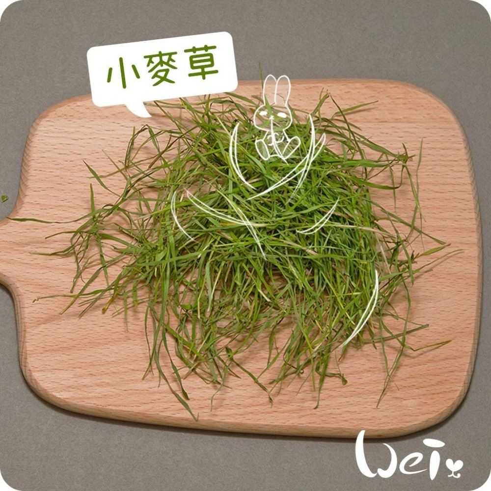 魏啥麻-乾燥小麥草(純天然無添加 請少量給予)寵物手工零食-細節圖3