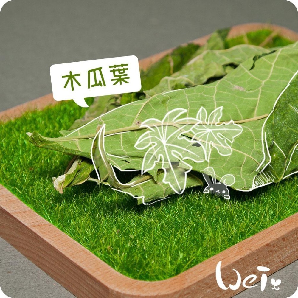 魏啥麻-乾燥木瓜葉(純天然無添加 請少量給予)寵物手工零食-細節圖2