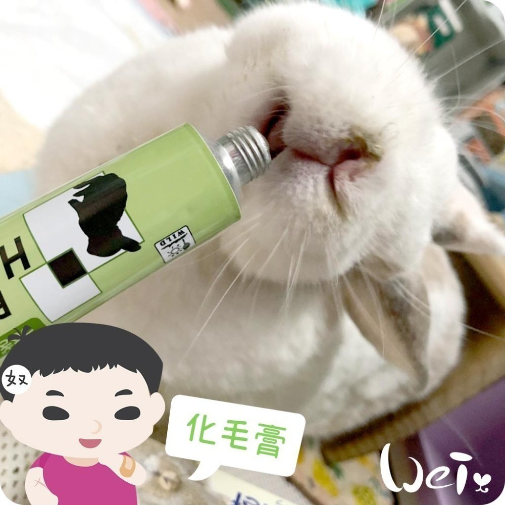魏啥麻-日本SANKO 愛兔化毛膏 50g(兔 天竺鼠保健品)-細節圖2
