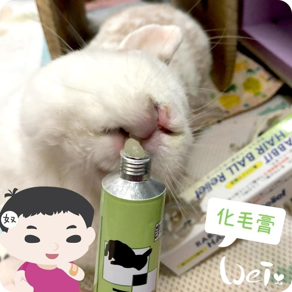魏啥麻-日本SANKO 愛兔化毛膏 50g(兔 天竺鼠保健品)-細節圖3