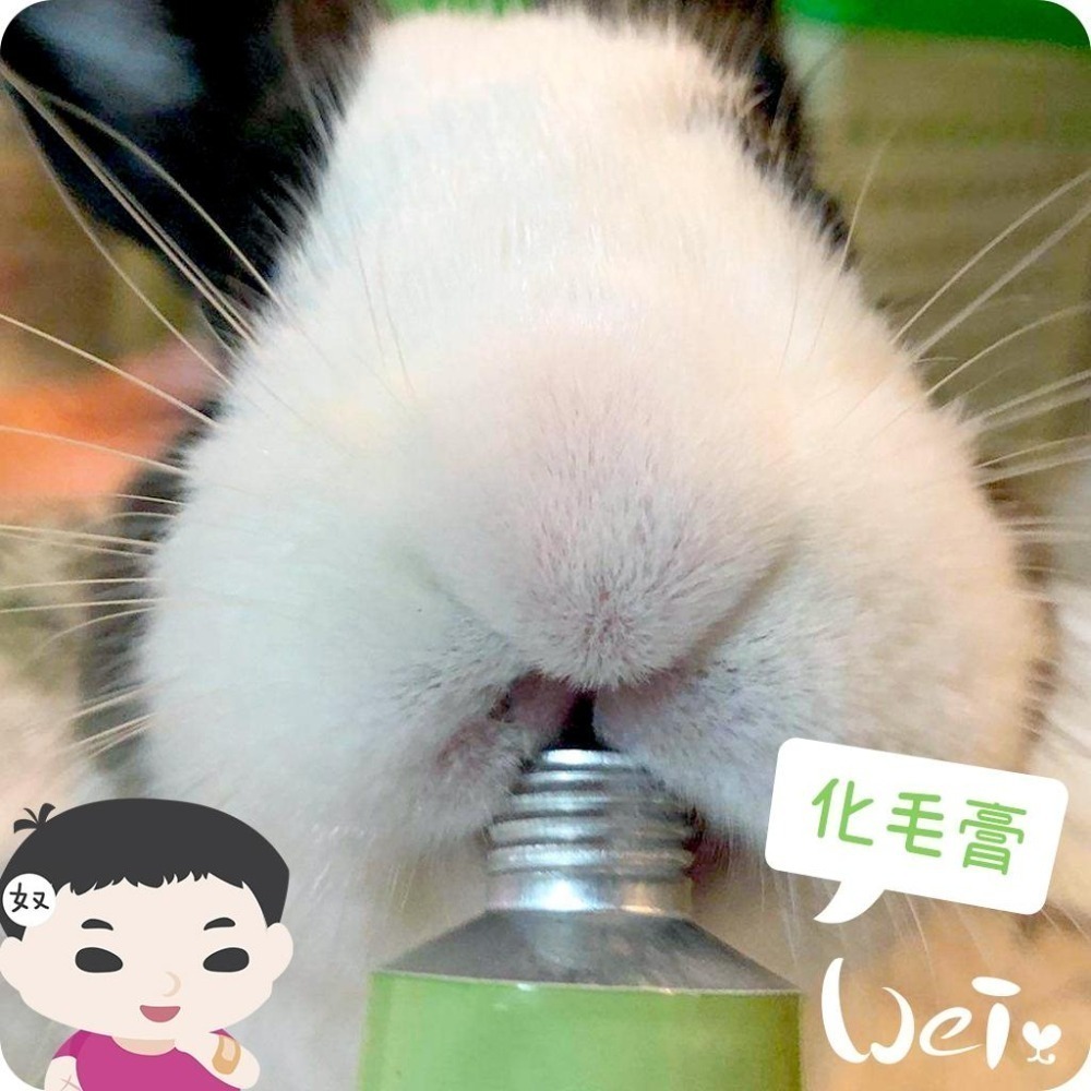 魏啥麻-日本SANKO 愛兔化毛膏 50g(兔 天竺鼠保健品)-細節圖4