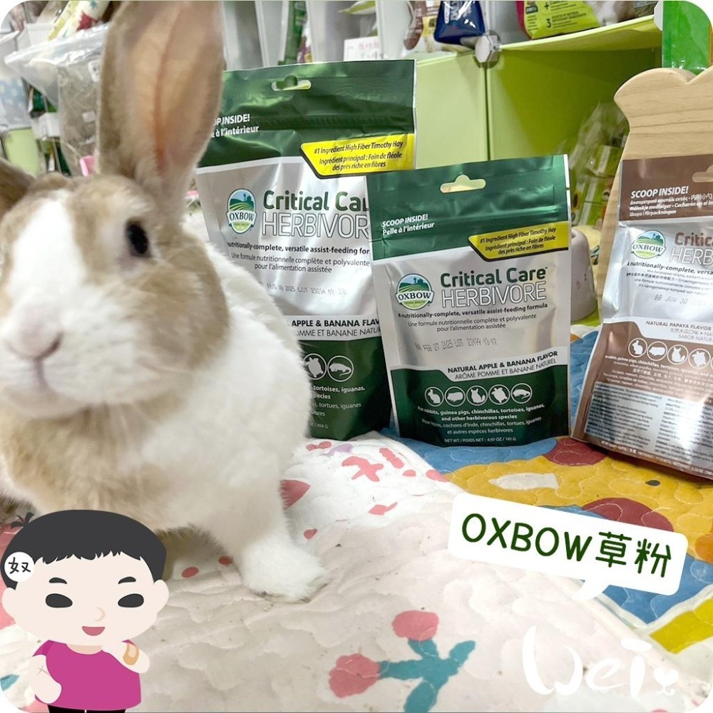 魏啥麻-美國OXBOW 蘋果香蕉風味灌食草粉 (低鈣 無麩質苜蓿 粗纖維高(21-26%) 蛋白高)兔 天竺鼠-細節圖8