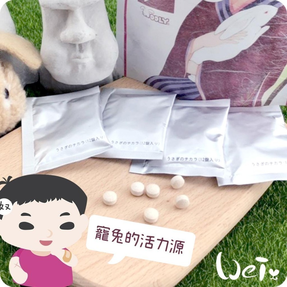 魏啥麻-日本WOOLY寵兔的活力源 120錠/包 (全身機能性保健)兔 天竺鼠保健品-細節圖3