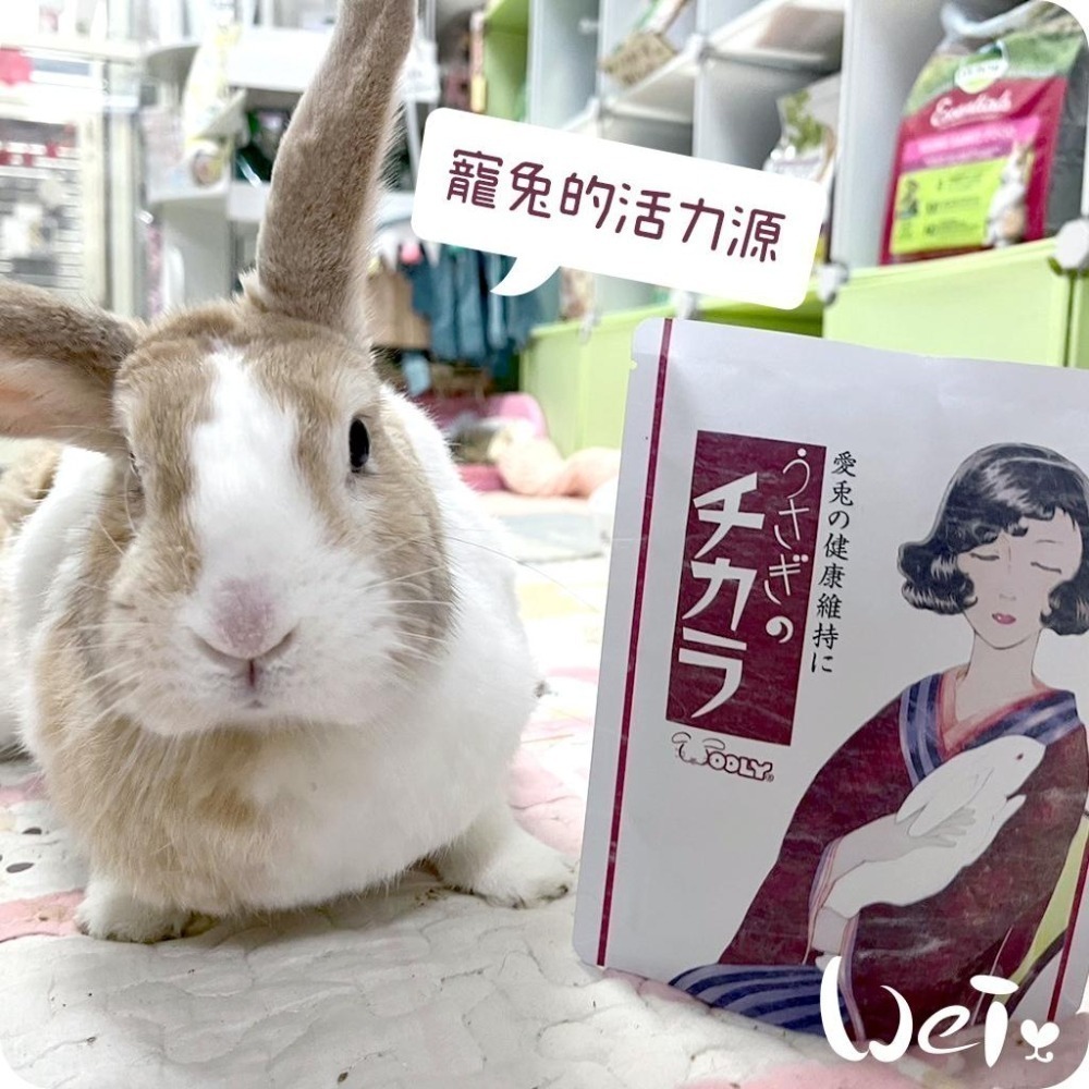 魏啥麻-日本WOOLY寵兔的活力源 120錠/包 (全身機能性保健)兔 天竺鼠保健品-細節圖5