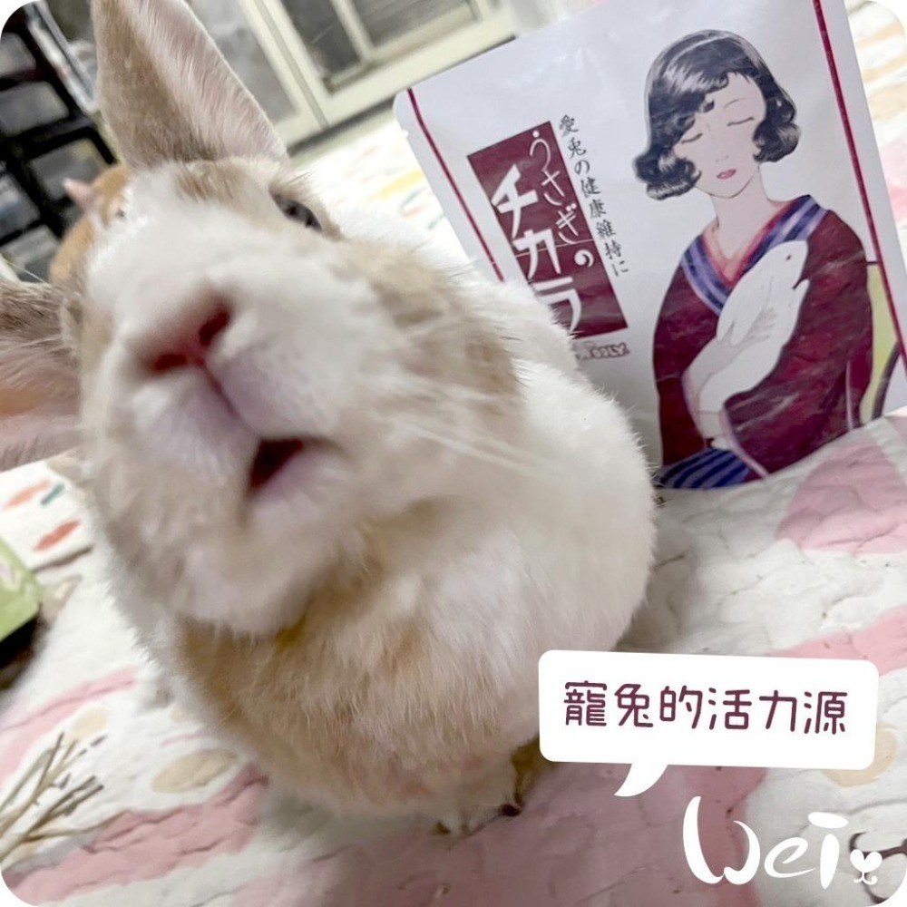魏啥麻-日本WOOLY寵兔的活力源 120錠/包 (全身機能性保健)兔 天竺鼠保健品-細節圖6