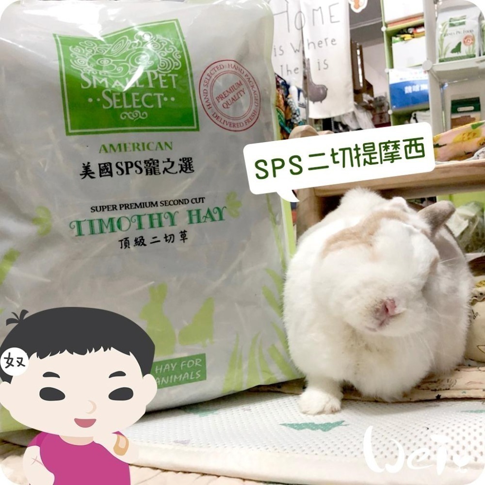魏啥麻-美國SPS寵之選二切提摩西 1 lb(454g)袋裝無夾鏈 (梗葉各半)  (兔 天竺鼠 龍貓牧草)-細節圖2