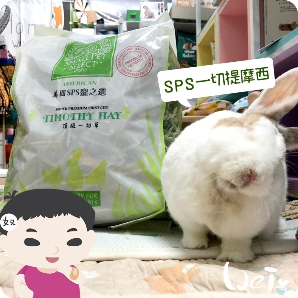 魏啥麻-美國SPS寵之選一切提摩西 1 lb(454g)袋裝無夾鏈 (梗多)  (兔 天竺鼠 龍貓牧草)-細節圖2