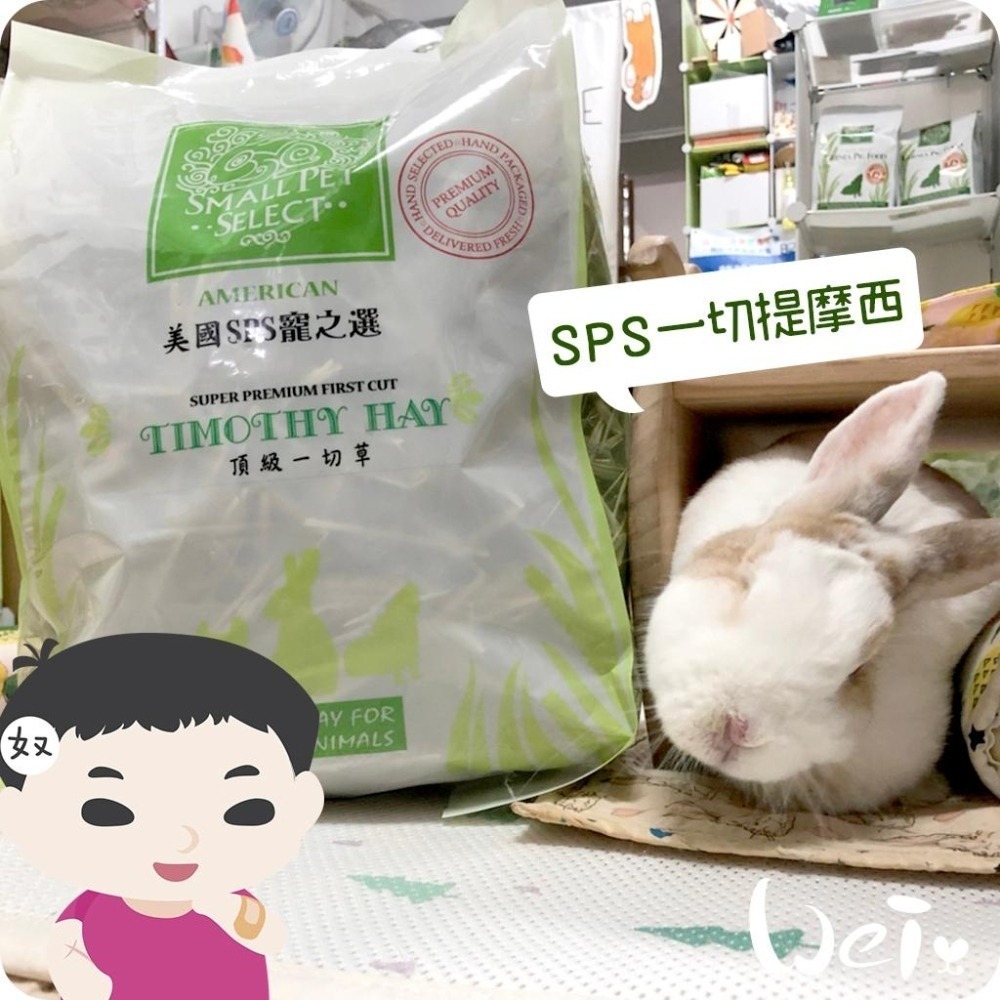 魏啥麻-美國SPS寵之選一切提摩西 1 lb(454g)袋裝無夾鏈 (梗多)  (兔 天竺鼠 龍貓牧草)-細節圖3