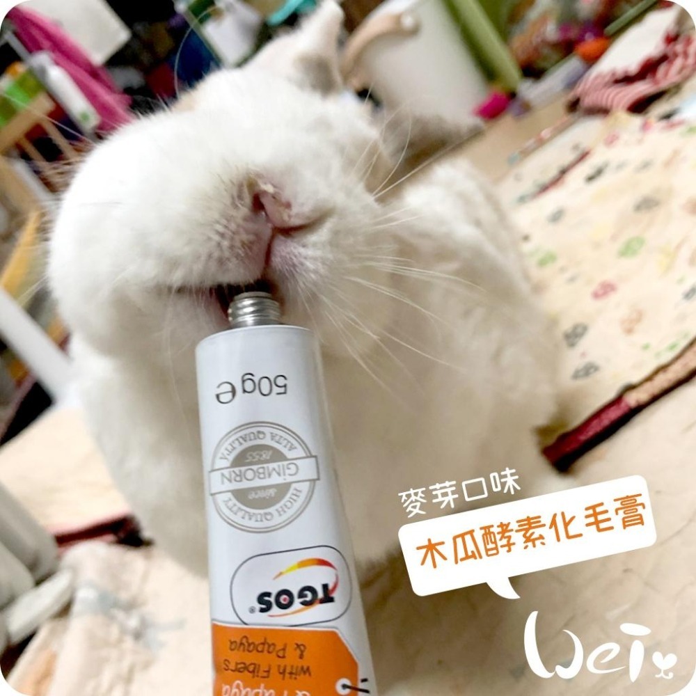 魏啥麻-德國竣寶GIMBORN 兔用麥芽木瓜酵素化毛膏(兔 天竺鼠保健品)-細節圖4