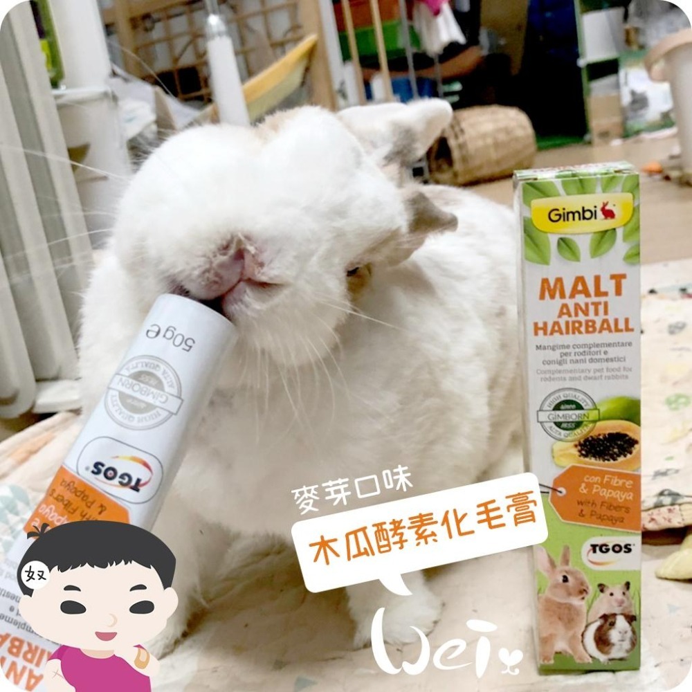 魏啥麻-德國竣寶GIMBORN 兔用麥芽木瓜酵素化毛膏(兔 天竺鼠保健品)-細節圖6