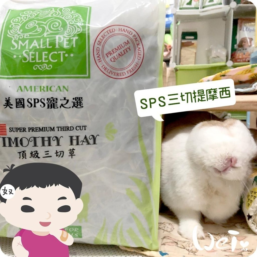 魏啥麻-美國SPS寵之選三切提摩西 1lb(454g) 袋裝無夾鏈 (葉多)  (兔 天竺鼠 龍貓牧草)-細節圖2