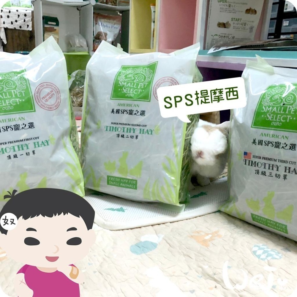 魏啥麻-美國SPS寵之選三切提摩西 1lb(454g) 袋裝無夾鏈 (葉多)  (兔 天竺鼠 龍貓牧草)-細節圖4