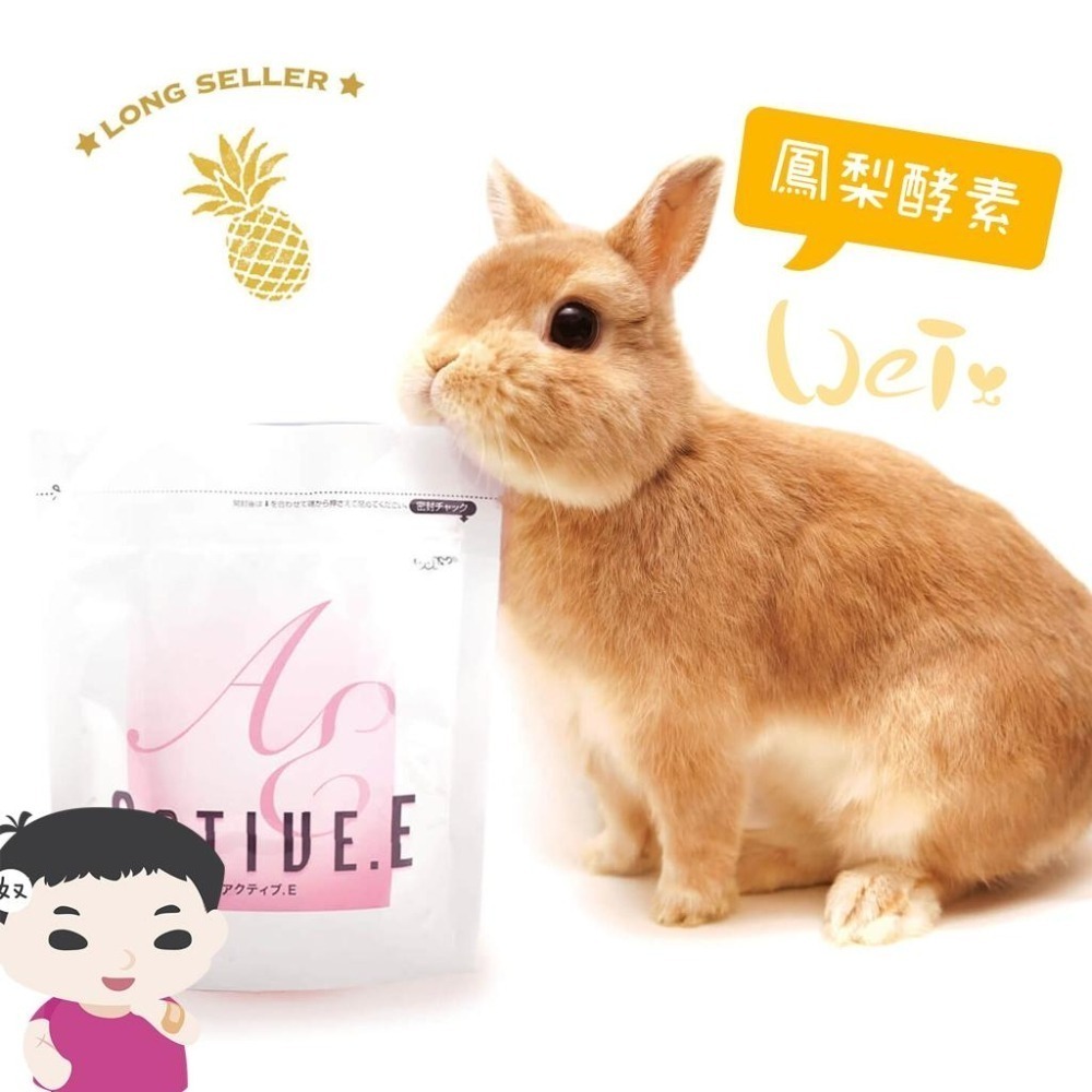 魏啥麻-日本WOOLY鳳梨酵素 ACTIVE.E (消化保健、化毛)兔 天竺鼠保健品-細節圖3