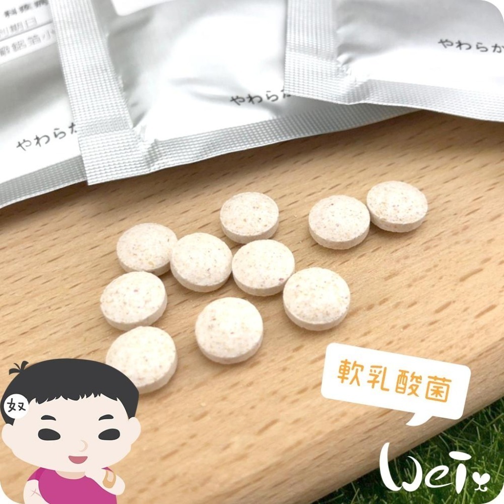 魏啥麻-日本WOOLY 軟乳酸菌 150錠(含健康三益菌 蘋果纖維 較鬆軟)兔 天竺鼠保健品-細節圖2