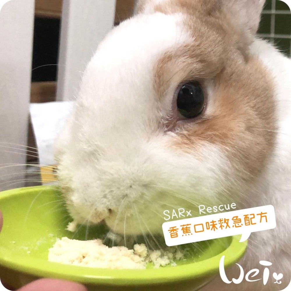 魏啥麻-美國Sherwood蒔寵SARx Rescue救急配方營養粉 60g(葡萄糖 維生素C+B群 食慾)兔 天竺鼠-細節圖4