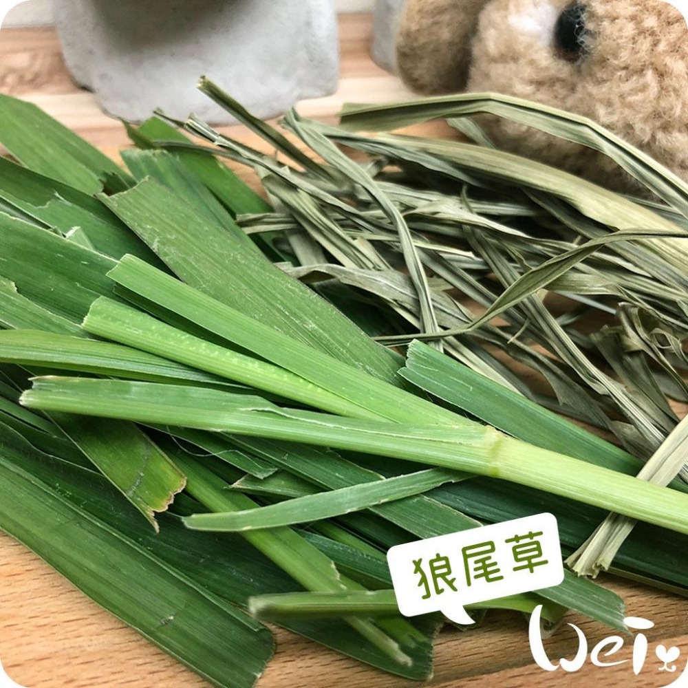 魏啥麻-乾燥狼尾草(純天然無添加 請少量給予)寵物手工零食-細節圖2