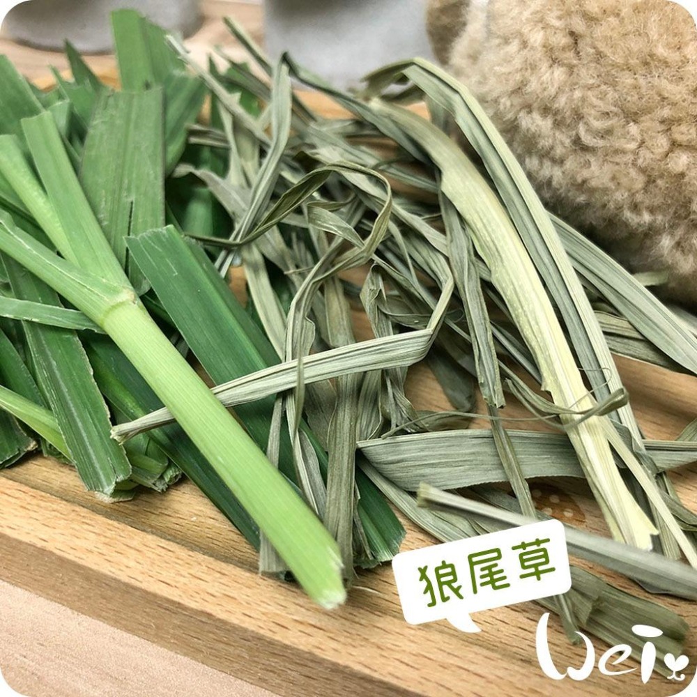 魏啥麻-乾燥狼尾草(純天然無添加 請少量給予)寵物手工零食-細節圖3