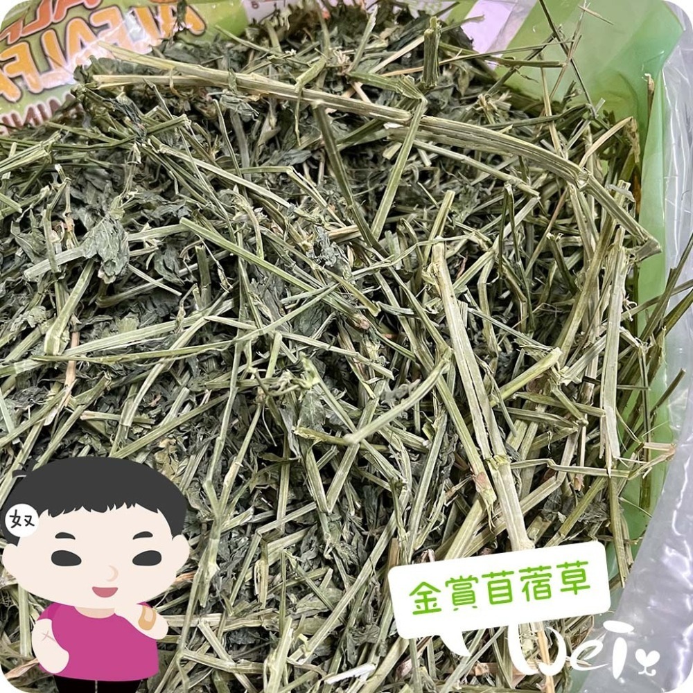 魏啥麻-APD美寵莊園 金賞苜蓿草 680g (鮮綠短草 碎草較多) 幼兔 天竺鼠 龍貓 牧草-細節圖2