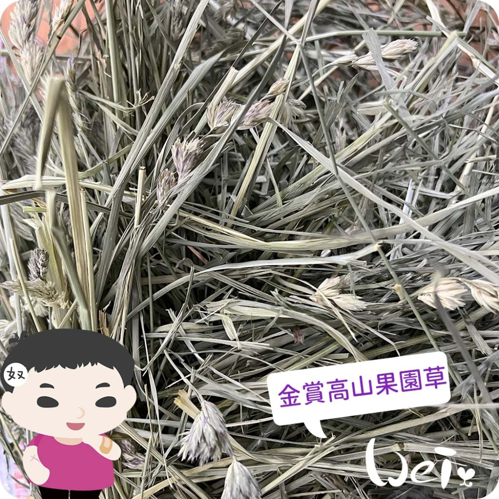 魏啥麻-APD美寵莊園 金賞高山果園草 680g (兔 天竺鼠 龍貓 牧草)-細節圖2