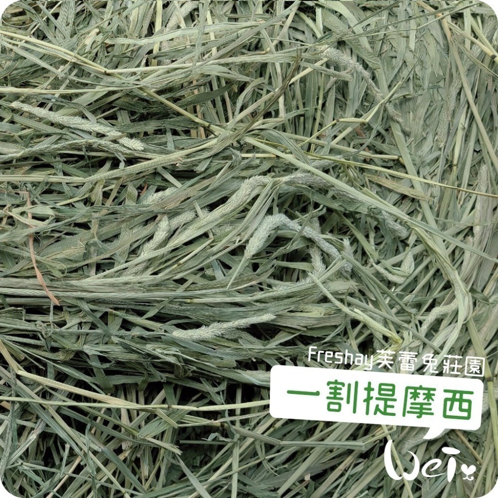 魏啥麻-Freshay芙蕾兔莊園 一割提摩西 (兔 天竺鼠 龍貓 牧草)-細節圖4