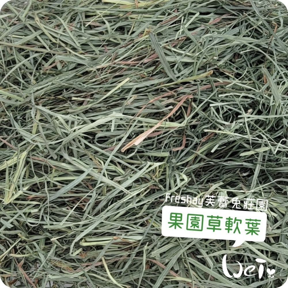 魏啥麻-Freshay芙蕾兔莊園 果園草軟葉 (兔 天竺鼠 龍貓 牧草)-細節圖5