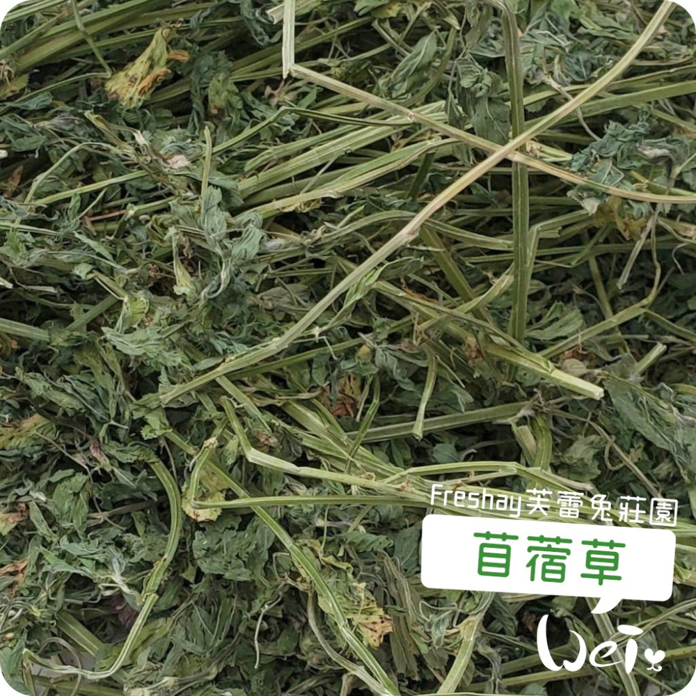 魏啥麻-Freshay芙蕾兔莊園 苜蓿草 (兔 天竺鼠 龍貓 牧草)-細節圖3