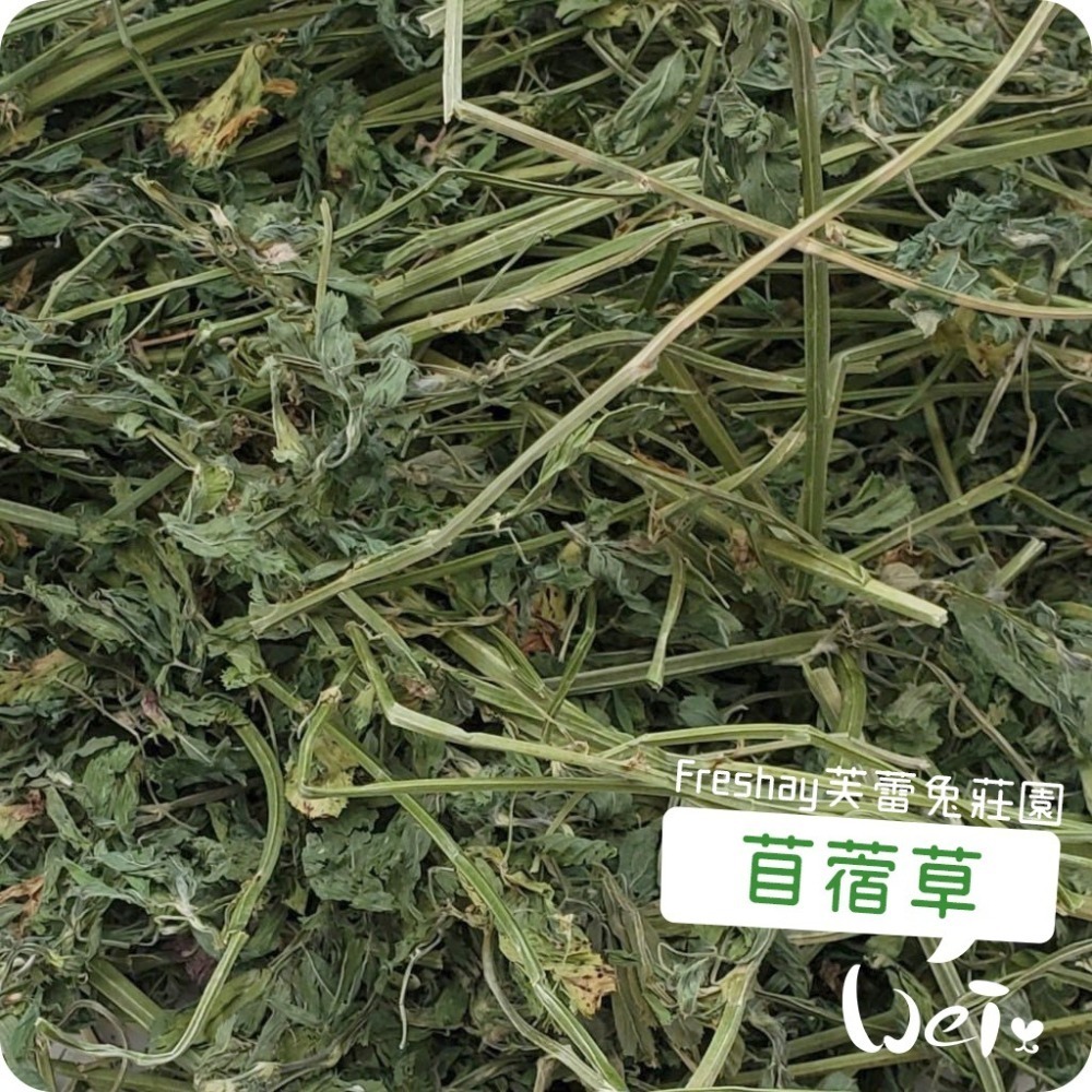 魏啥麻-Freshay芙蕾兔莊園 苜蓿草(這批一切梗多) (兔 天竺鼠 龍貓 牧草)-細節圖4