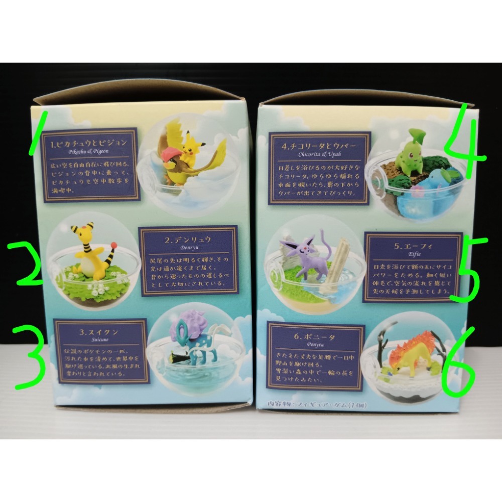 Re-MeNT 寶可夢 玻璃容器系列 5 生態球 盒玩-細節圖2