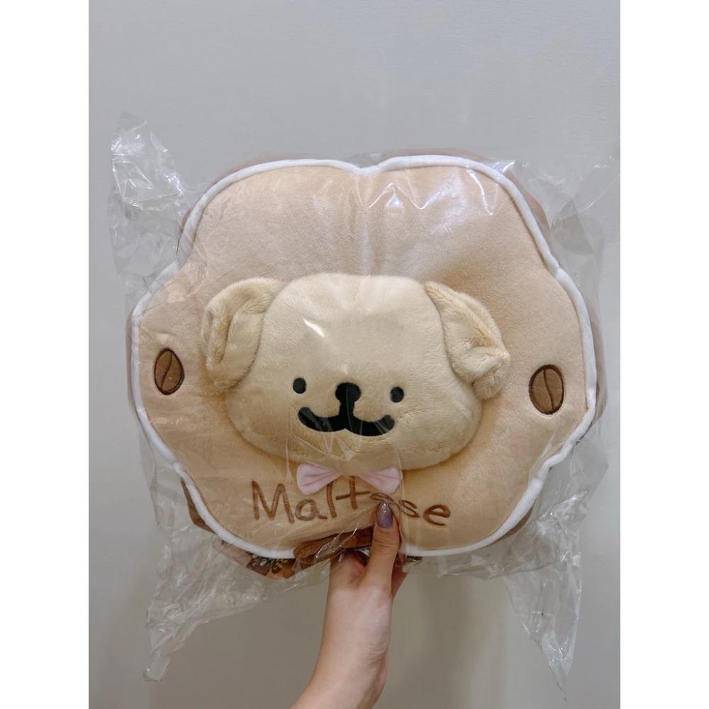 B賞:雙面餅乾抱枕X1