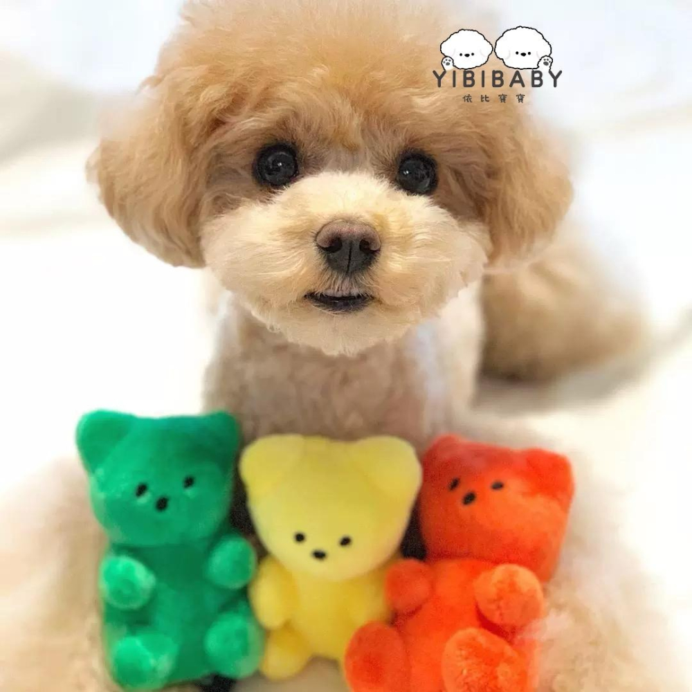 各類小熊發聲玩具-細節圖3