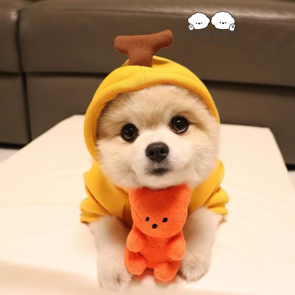 各類小熊發聲玩具-細節圖4