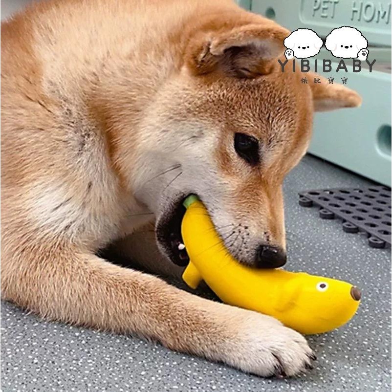 Qmonster香蕉狗寵物玩具水果造型狗玩具磨牙發聲耐咬潔牙小中型犬-細節圖4