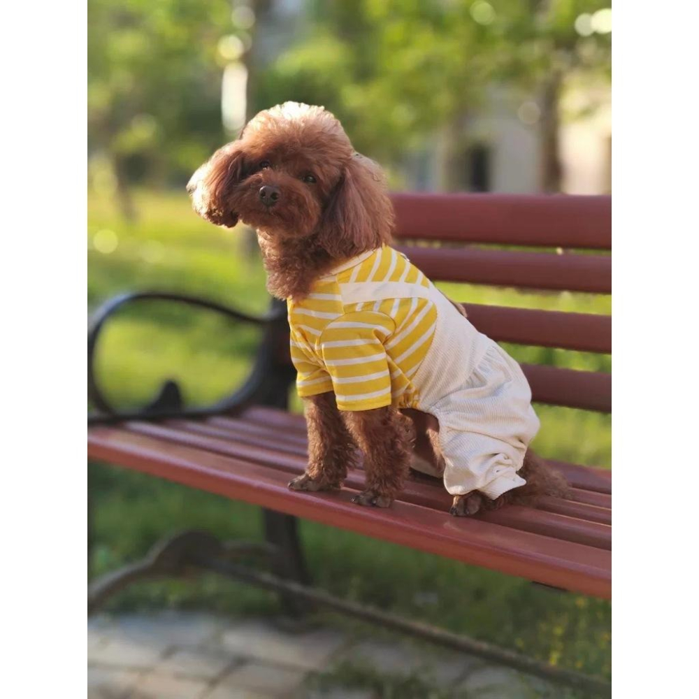 熊熊小寶寶衣-細節圖2