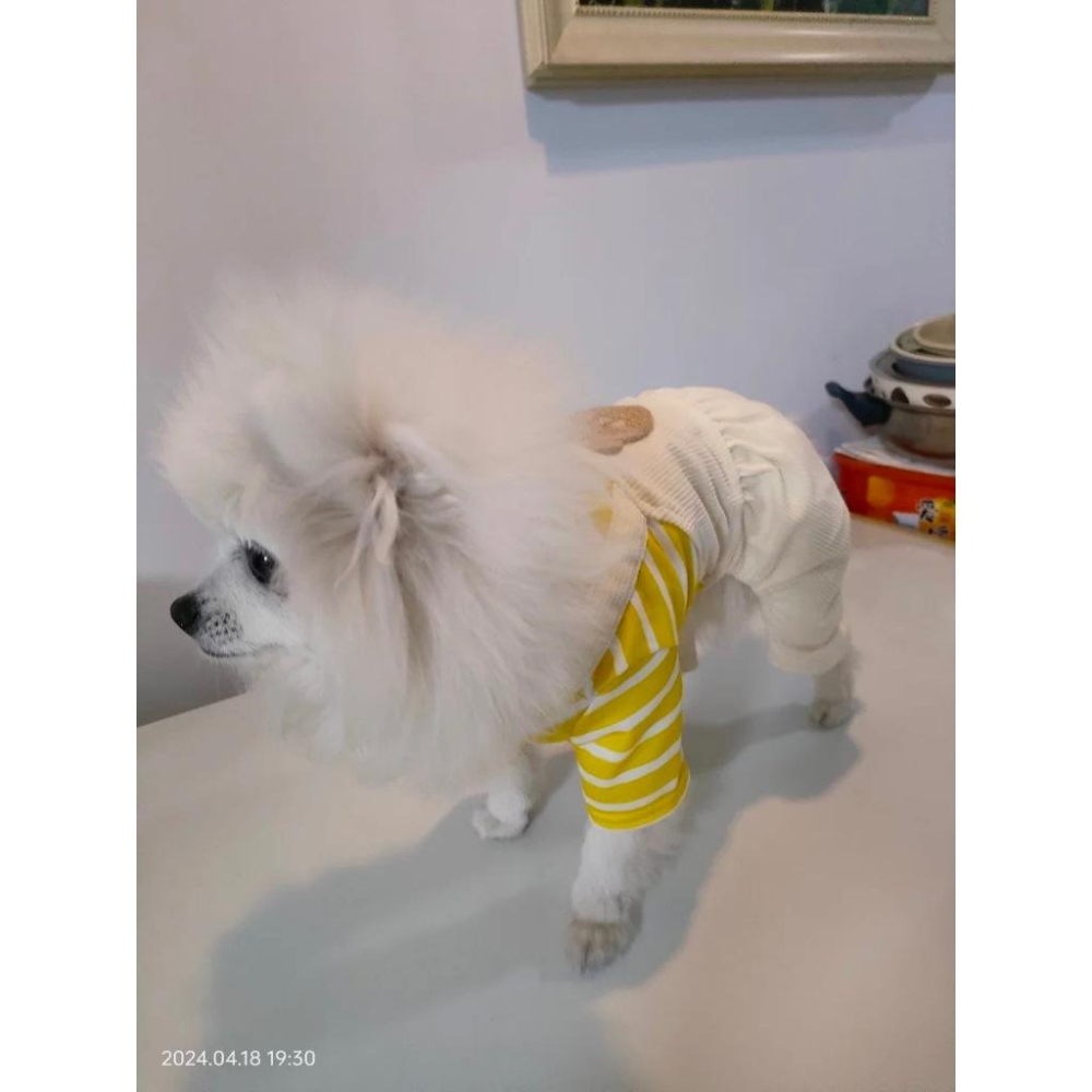 熊熊小寶寶衣-細節圖3